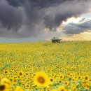 대학농장 이미지