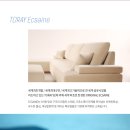 엘리쉬(ailish)
