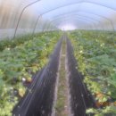 한솔이네농장 이미지