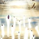 은혜예복 이미지