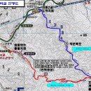 삼림조경