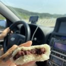 금학목장 이미지