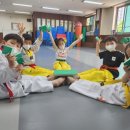용인대 해동 태권도장 이미지