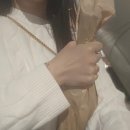 시드니호텔투 이미지