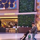 쇼 | 인스파이어 리조트 식당 웰니스 클럽 수영장 오로라쇼 후기