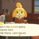둥지카페