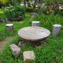 소나무공원 화장실 이미지