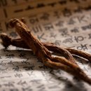 금산홍삼조합 이미지