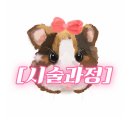 핑키쿡 | [앞볼쳐짐 1탄] 슈링크로 뿌시고 왔어요♡슈링크 후기♡내돈내산, 직후 효과, 통증, 부작용, 유지팁...