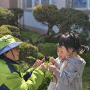 다목초병설유치원 이미지