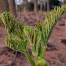 제주농장 이미지