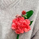 다육그리고꽃