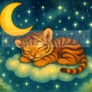 달빛동물병원 이미지