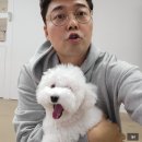 구해줘과외 이미지