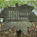 다산(茶山) 정약용(丁若鏞) 장수의 비결 이미지