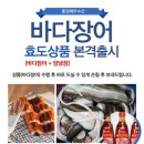 해주기획