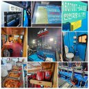 그믐쭈꾸미 | 오천항 가을철 쭈꾸미 배낚시 물때 확인 예약 체험 후기