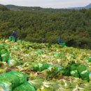 하늘농원 옆 이미지