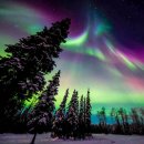 오로라 (Aurora, 極光) 이미지