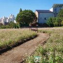 암사역사공원 이미지