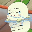 KIS(한국국제학교) 이미지