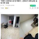 인생역전모텔 | &#34;차에서 고양이와 1년 반 버텼다&#34;…전세사기 피해 20대, 임대 주택 &#39;당첨&#39;