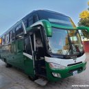 세운버스㈜ 이미지