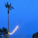 스테이체리 이미지