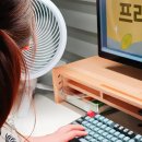 플렉스 | 탁상용 선풍기 추천 올인원 샤크 플렉스 내돈내산 후기