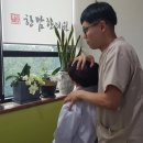 한맘한의원 이미지