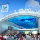 플러스카 이미지