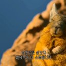 방배천로7-1 이미지