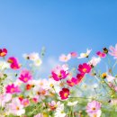 여주-0224 네이버블로그