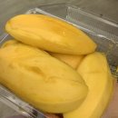 댕's day | 나 혼자 태국 한달살기ღ 22일차, 그리고 방콕 6일차 (솜분씨푸드 시암스퀘어원 / CDGRE 카페 / 시암...