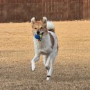 모모카네 펜션 이미지