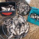 연락수로 이미지