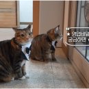 대리농장 이미지