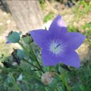 오지보건진료소 이미지