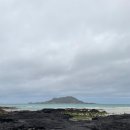 협재숲 | 제주 감성숙소 추천 협재숲 내돈내산 후기