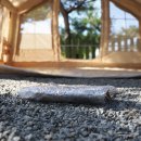 더블나인하우스 이미지