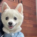 동원목욕탕 이미지