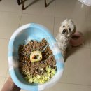 까까멍펫푸드 이미지