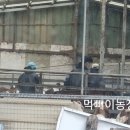 김기수 농장 이미지