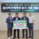 농소 이미지