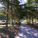 인제자연학교 캠핑장 이미지