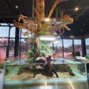 카페브런 이미지