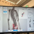 웰라이프 코칭 | 을지로 헬스장 / 웰라이프 PT 스튜디오 약수역점 / 후기 리뷰