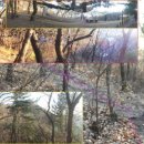 대웅목장 이미지