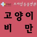 구리동물병원
