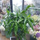 화원노래연습장 이미지